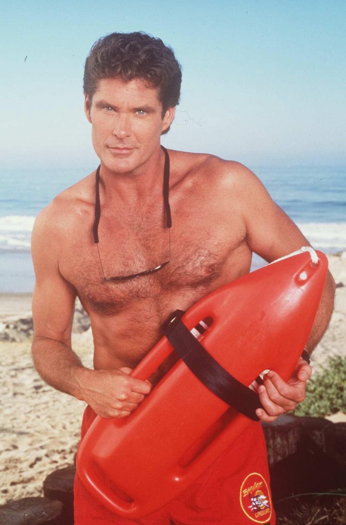 Net worth of David Hasselhoff