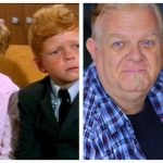 Johnny Whitaker Net Worth