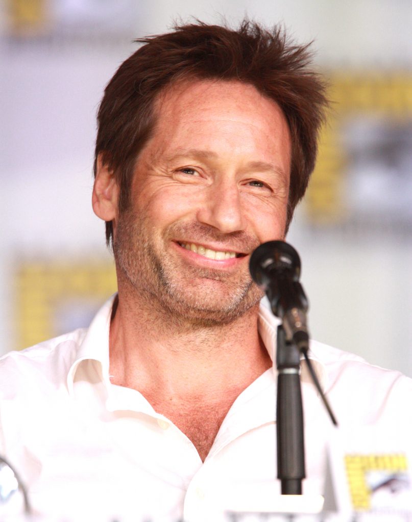 Net Worth of David Duchovny