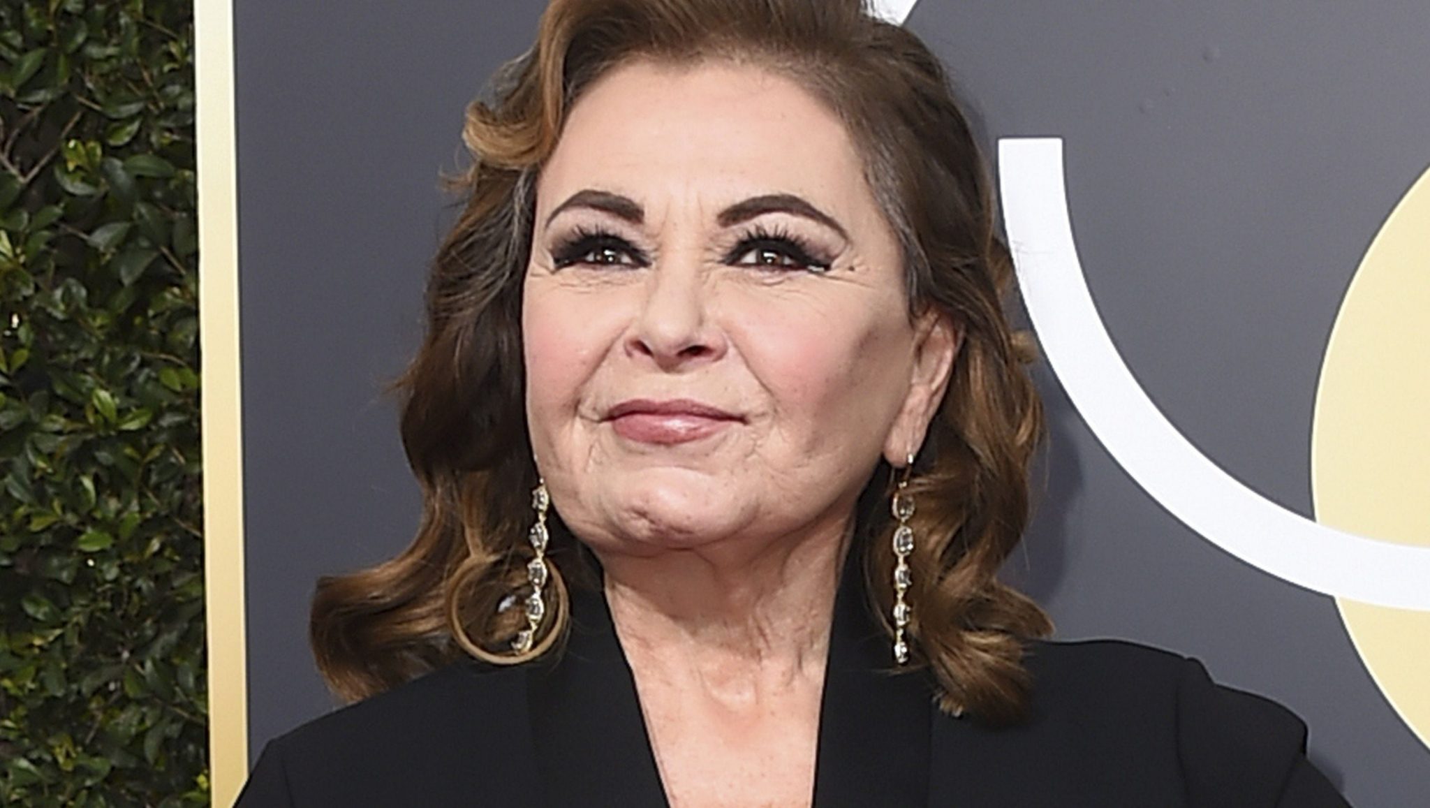Roseanne Barr Net Worth Net Worth Lists