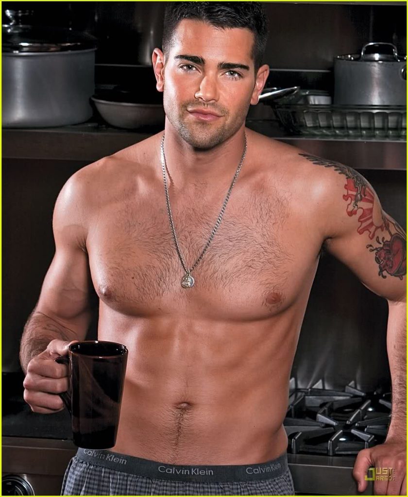 Net Worth of Jesse Metcalfe