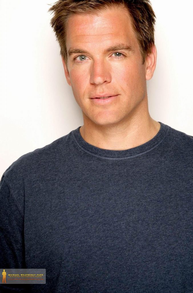 Net Worth of Michael Weatherly