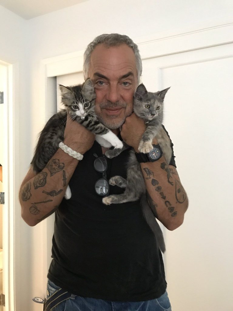 Net Worth of Titus Welliver