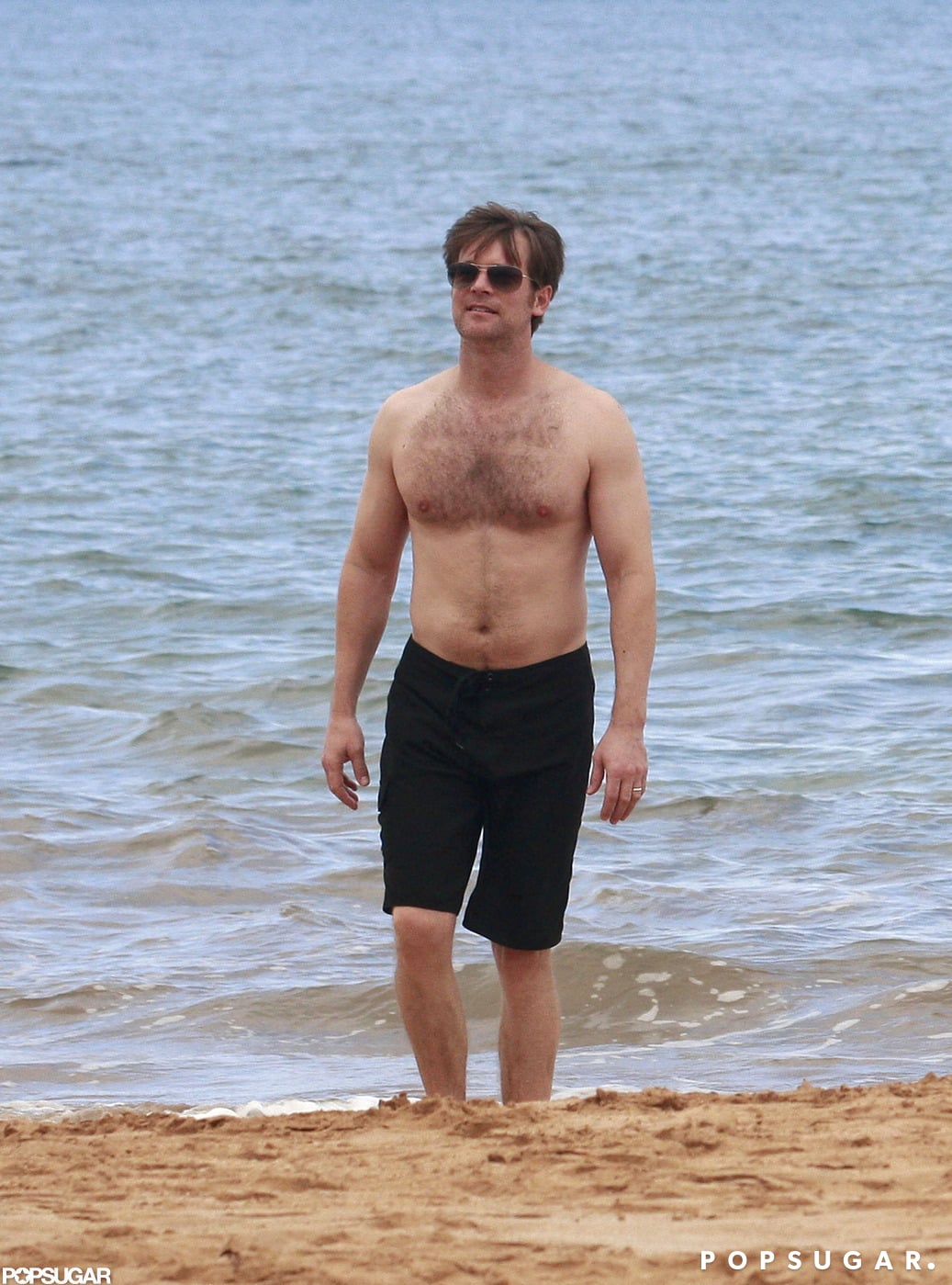 Peter Krause Net Worth Net Worth Lists