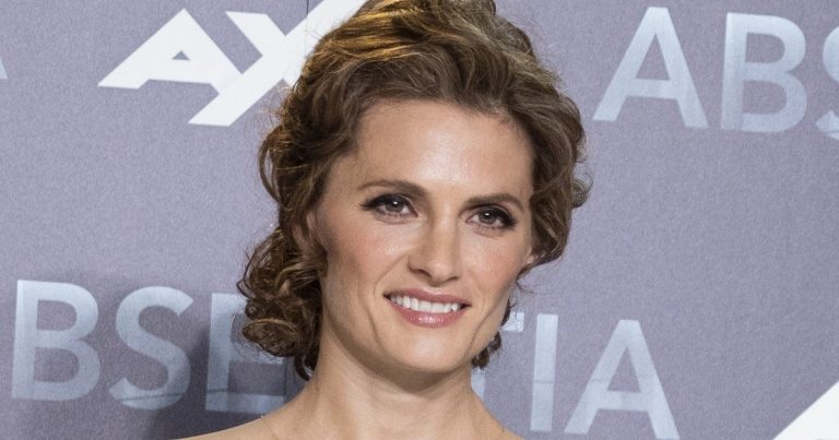 Stana Katic Net Worth