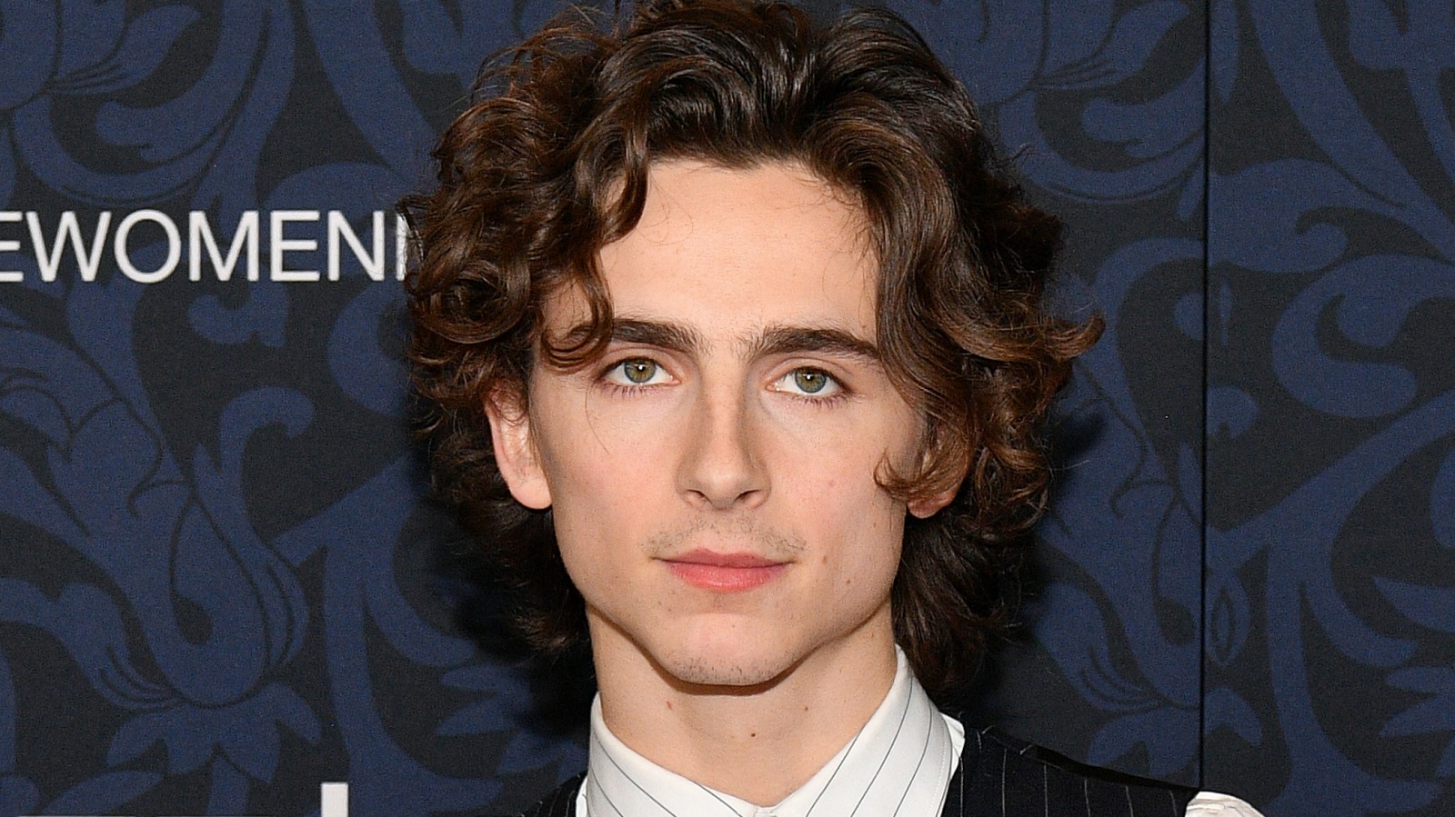 Timothée Chalamet Net Worth - Net Worth Lists