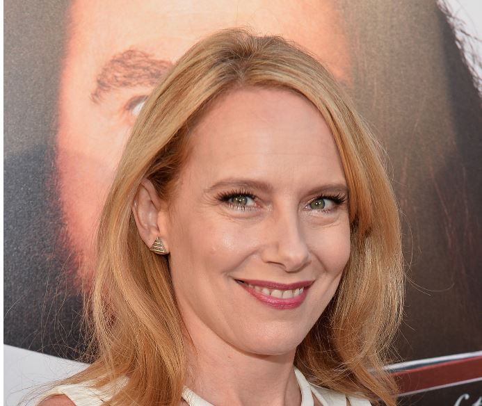 Amy Ryan Net Worth