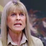 How Rich is Terri Irwin