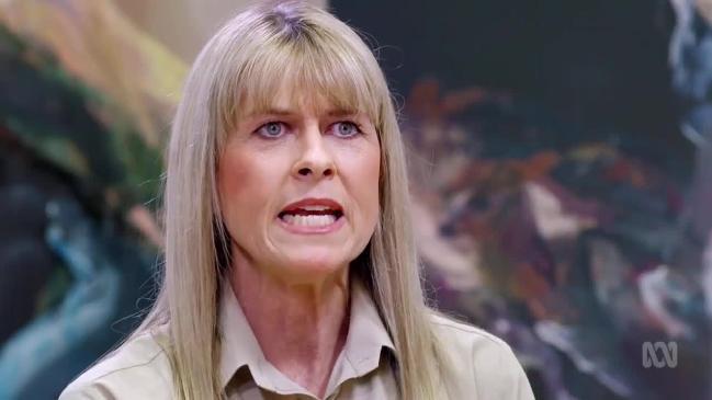 How Rich is Terri Irwin